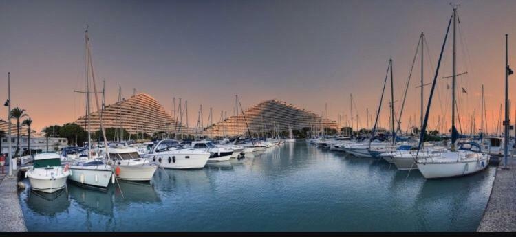 Loft Marina Direct Plage Apartamento Villeneuve-Loubet Exterior foto